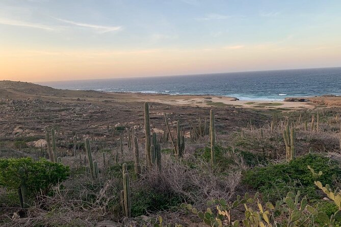 Horseback Riding Wariruri Beach Tour in Aruba - Who will enjoy this most