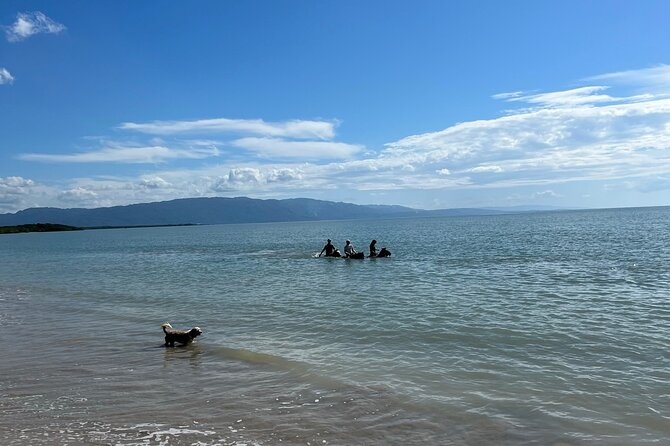 Horseback “SPECIAL”- Negril’s Beach Ride N’ Swim with Free photos/videos - Pickup, timing, and group size