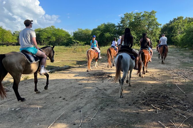 Horseback “SPECIAL”- Negril’s Beach Ride N’ Swim with Free photos/videos - Is $90 a fair price?