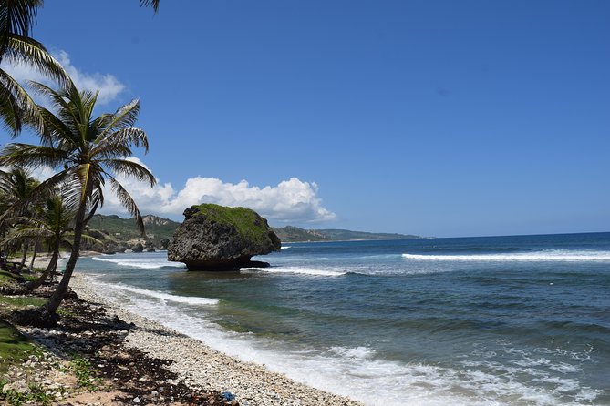 Hunte's Garden and St Nicholas Abbey small group Barbados tour - Cherry Tree Hill’s wide view