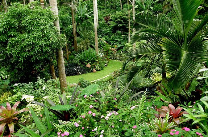 Hunte's Garden and St Nicholas Abbey small group Barbados tour - Group size, pace, and physical demands