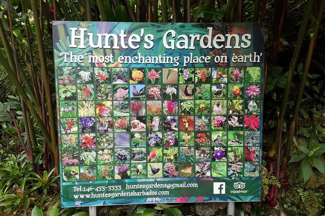 Hunte's Gardens - The drive through central Barbados