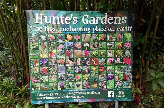 Hunte's Gardens - Is $116.44 a fair price?