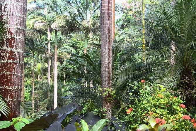 Hunte's Gardens - Walking, weather, and what to bring