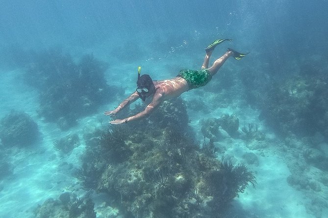 Icacos Deserted Island Catamaran, Snorkel, and Picnic Cruise - Lunch is simple, plentiful, and included