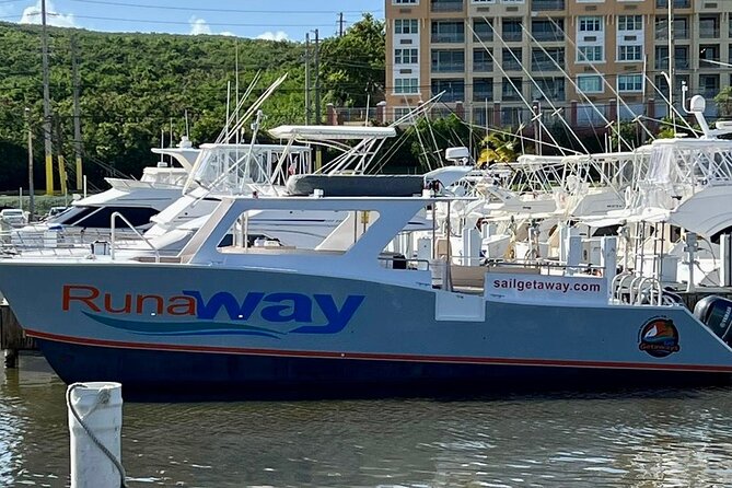 Icacos Double Dip Power Catamaran Snorkel & Beach Tour - Who will enjoy this trip most