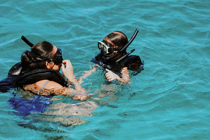 Iconic Aruba Sail and Snorkel Experience - Who Gets the Most From This Aruba Excursion?