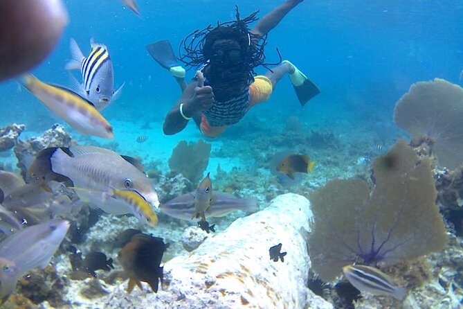 Incredible Negril Guided Snorkeling To Reef, Anchor, and Cannon - From Seven Mile Beach to Negril’s Reefs