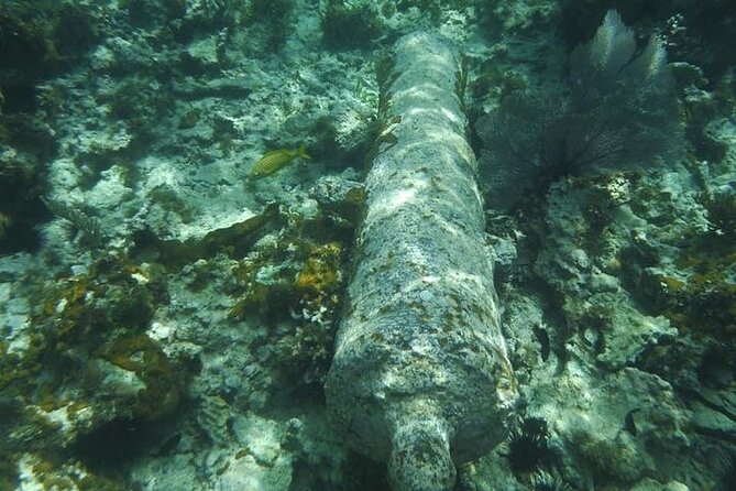 Incredible Negril Guided Snorkeling To Reef, Anchor, and Cannon - What Makes This Trip Work for Families