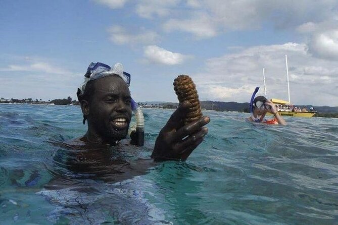 Incredible Negril Guided Snorkeling To Reef, Anchor, and Cannon - Timing, Pickup, and What to Plan For