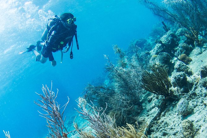 Introduction Shore Dive with Scubaçao (1 dive) - What the Curaçao SCUBA introduction is really like