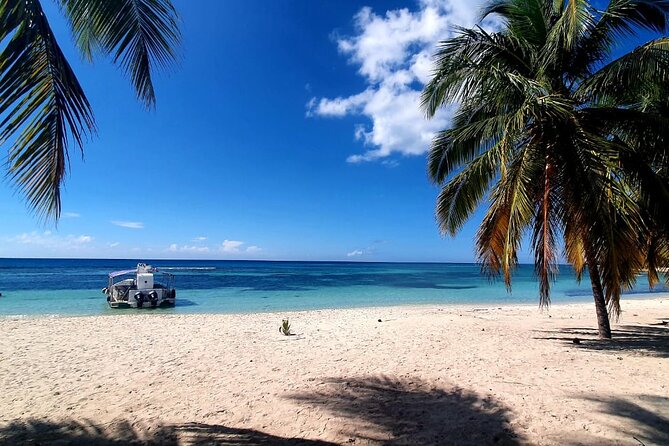 Island DE Saona: EN Small Group Tour on Trimaran Motorise - Key points to know before you book