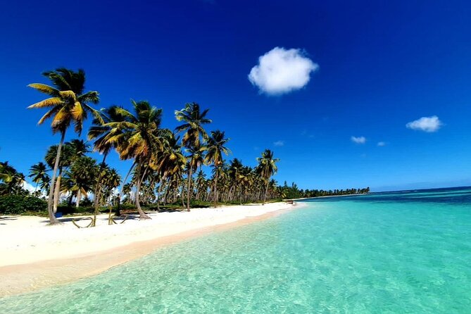 Island DE Saona: EN Small Group Tour on Trimaran Motorise - Canto de la Playa, Saona’s wild beach stop