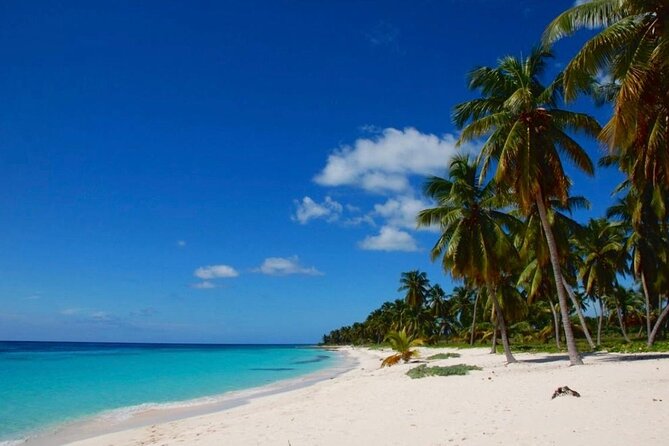 Island DE Saona: EN Small Group Tour on Trimaran Motorise - Returning to Bayahíbe after a long day