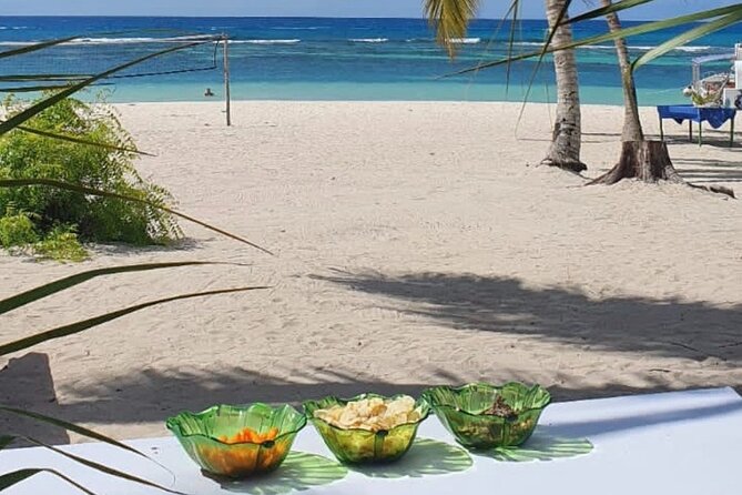 Island DE Saona: EN Small Group Tour on Trimaran Motorise - Is $110 a fair price for this Saona day?