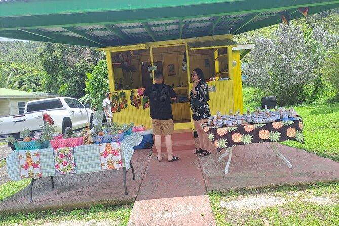 Island Tour - Why this Antigua island tour works well