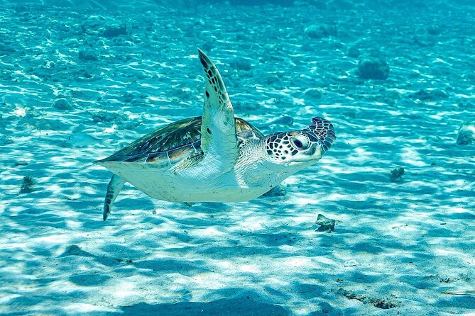 Island Treasures: Caves, Turtles and Turquoise Beach Break - Playa Kalki: the reward at the end