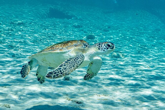 Island Treasures: Caves, Turtles and Turquoise Beach Break - Is $85 a good value?