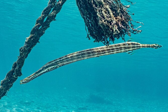 Island Treasures: Caves, Turtles and Turquoise Beach Break - Hato Caves: a hot climb into Curacao’s past