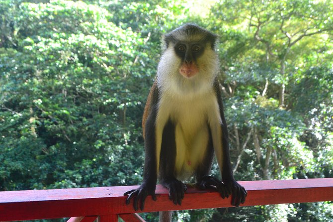 Isle of Spice Adventure Tour - The guides shape the experience