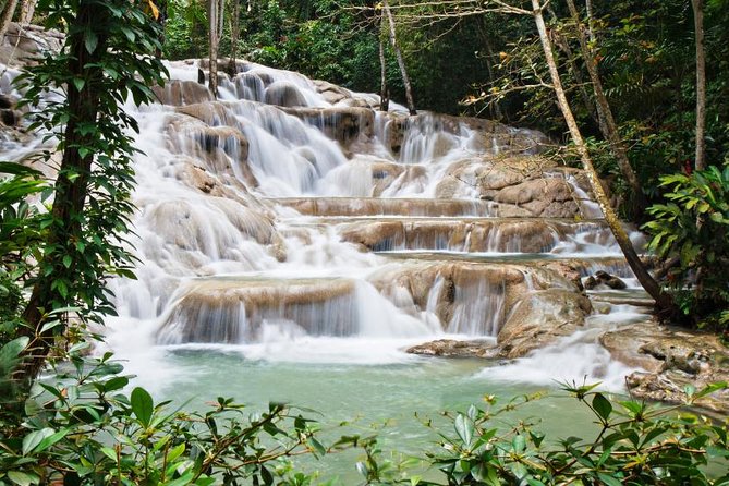Jamaica Combo Tour: Dunn's River Falls and Bob Marley’s Nine Mile - Who should book this tour?