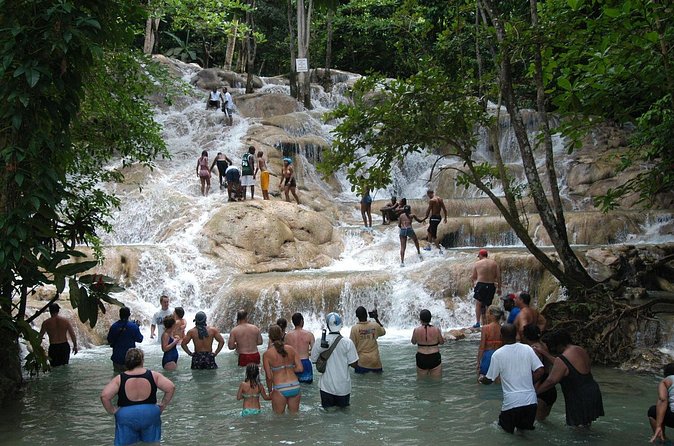 Jamaica Dunn's River Falls Party Cruise with Snorkeling - Who will enjoy this outing most