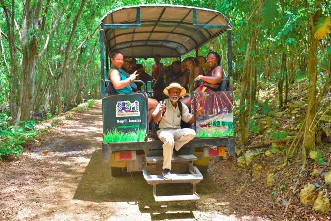 Jamwest: Zipline, Cultural Ride, and ATV Off-Road Adventure - Three Jamwest activities on one 300-acre property