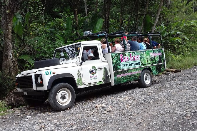 Jeep & Zipline Adventure in St. Lucia - Getting geared up above the rainforest