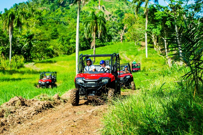 Jungle Buggies + Ziplines Adventures - Key points at a glance