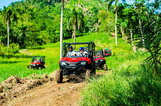 Jungle Buggies + Ziplines Adventures - Is $179 a good value?