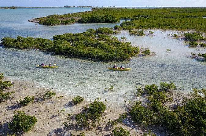 Kayak Eco Tour - The iguana sanctuary and coastal ecology