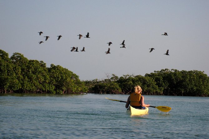 Kayak Eco Tour - A beach swim after the paddling