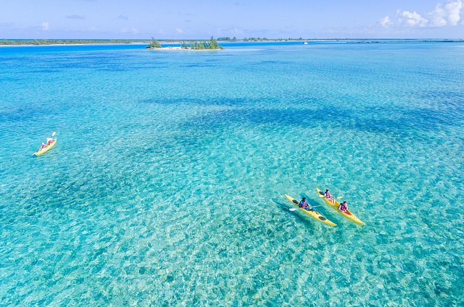 Kayak Eco Tour - Weather, currents, and the real level of effort