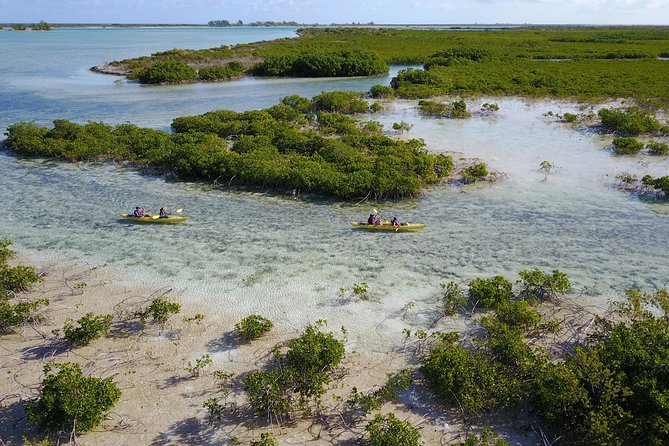Kayak Eco Tour - Is $296 a fair price?