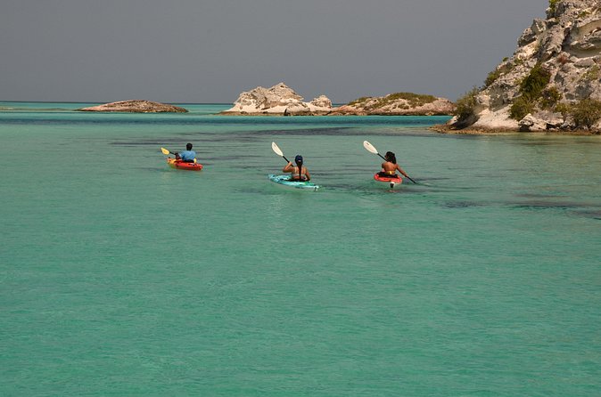 Kayak Eco Tour - Who will enjoy this eco tour most?