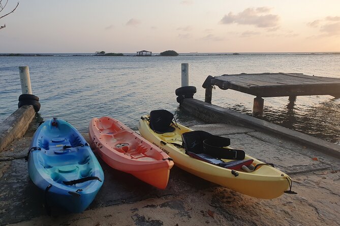 Kayak Tour to Seaglass Island - Stories about Aruba, nature, and the coast