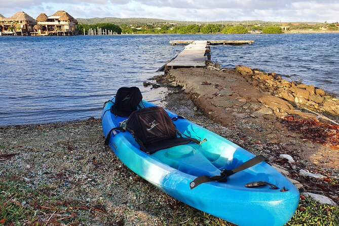 Kayak Tour to Seaglass Island - Who should book this kayak trip?