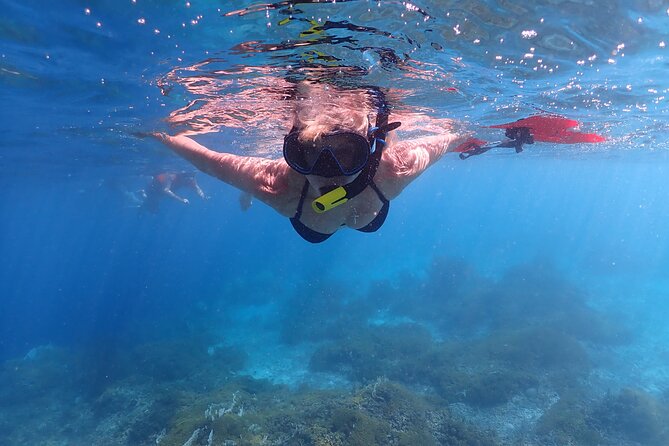 Klein Bonaire Marine Park Snorkeling Excursion - What you may see beneath the surface