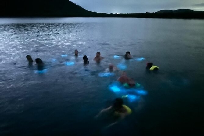 La Parguera Bio Bay Boat Ride and Swimming w/ San Juan Transport - Starting at Restaurante El Karacol in La Parguera