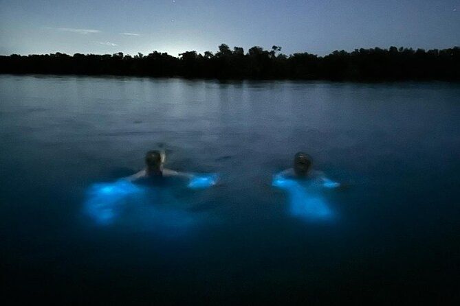 La Parguera Bio Bay Boat Ride and Swimming w/ San Juan Transport - What the bioluminescence actually looks like