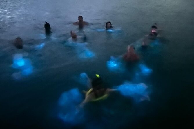La Parguera Bio Bay Boat Ride and Swimming w/ San Juan Transport - Swimming is the main reason to choose this tour