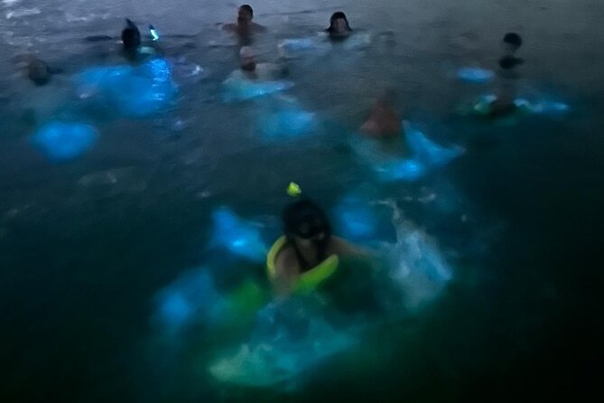 La Parguera Bio Bay Boat Ride and Swimming w/ San Juan Transport - Guide quality can shape the experience