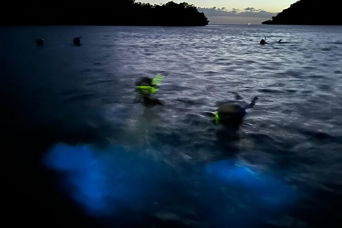 La Parguera Bio Bay Boat Ride and Swimming w/ San Juan Transport - Is the $54.99 price a good value?