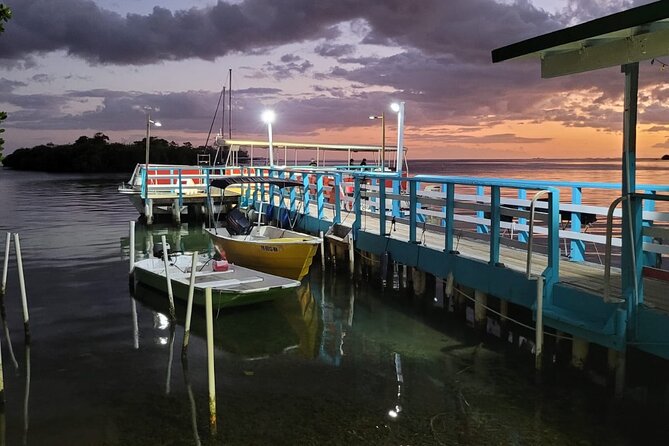 La Parguera Bio Bay Boat Ride and Swimming w/ San Juan Transport - Who should book this La Parguera outing?