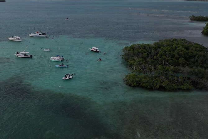 La Parguera Glowing Bioluminescent Bay Boat Tour from San Juan - Why La Parguera’s glowing water is worth the long ride