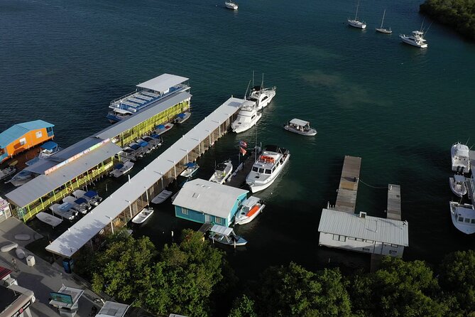 La Parguera Glowing Bioluminescent Bay Boat Tour from San Juan - What the guide and captain add