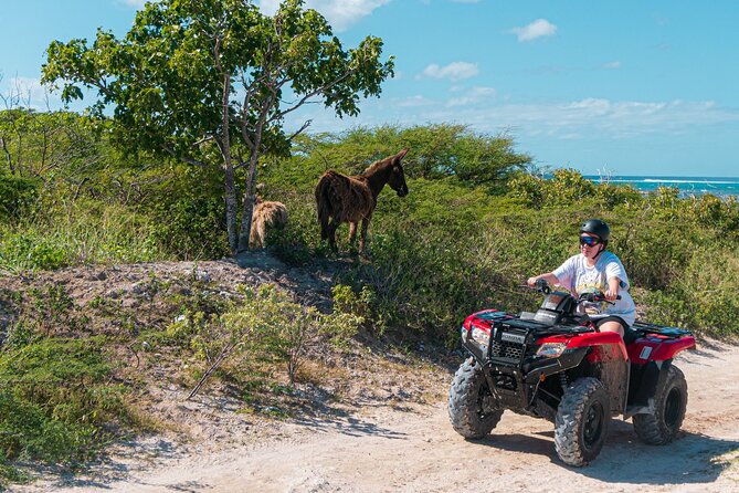 Lets Ride Adventures ATV Tour in Grand Turk - Getting out of the cruise port without losing your start time