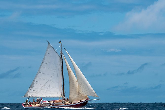 Little Bay Half-Day Sail & Snorkel Adventure - Why the small group matters