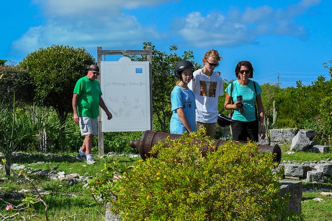 Love Buggy Island Tour with Lunch - Who Will Enjoy This Tour Most?