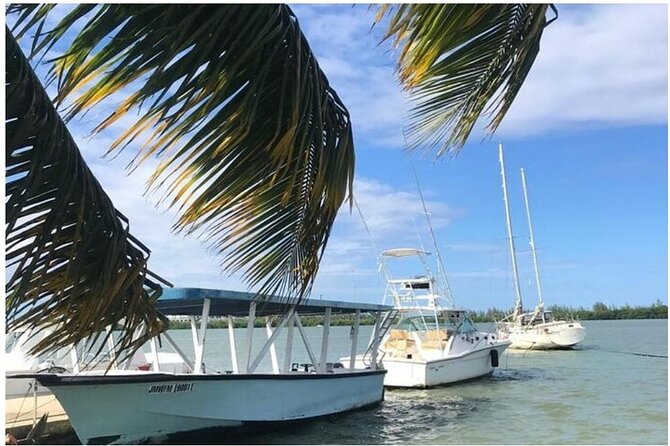 Luminous lagoon Dark night Tour from Ocho Rios and Runaway Bay Hotels - A practical plan for a smoother evening